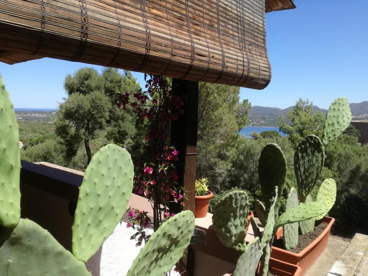 Lucianasit Apartment Cugnana Verde Exterior photo